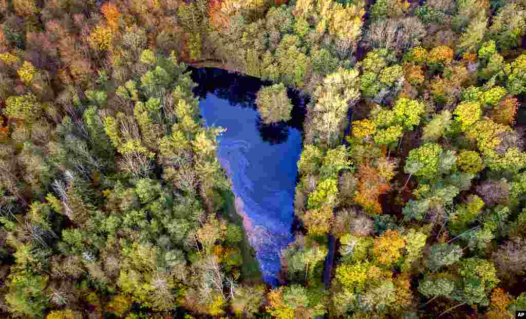 Colored trees surround a small lake in Usingen near Frankfurt, Germany.
