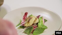 Cooked chicken meat from lab cultivation