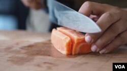 Lab-cultivated salmon