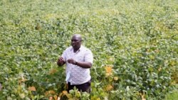 Udaba Esilwethulelwe NguTobias Mudzingwa