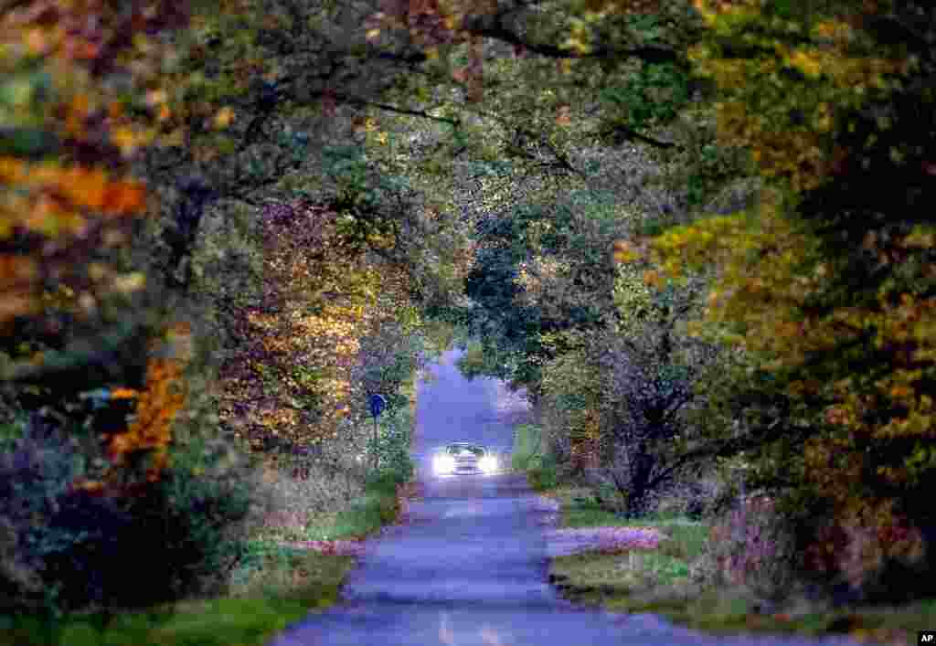 A car drives through a forest on a small road in Wehrheim near Frankfurt, Germany.