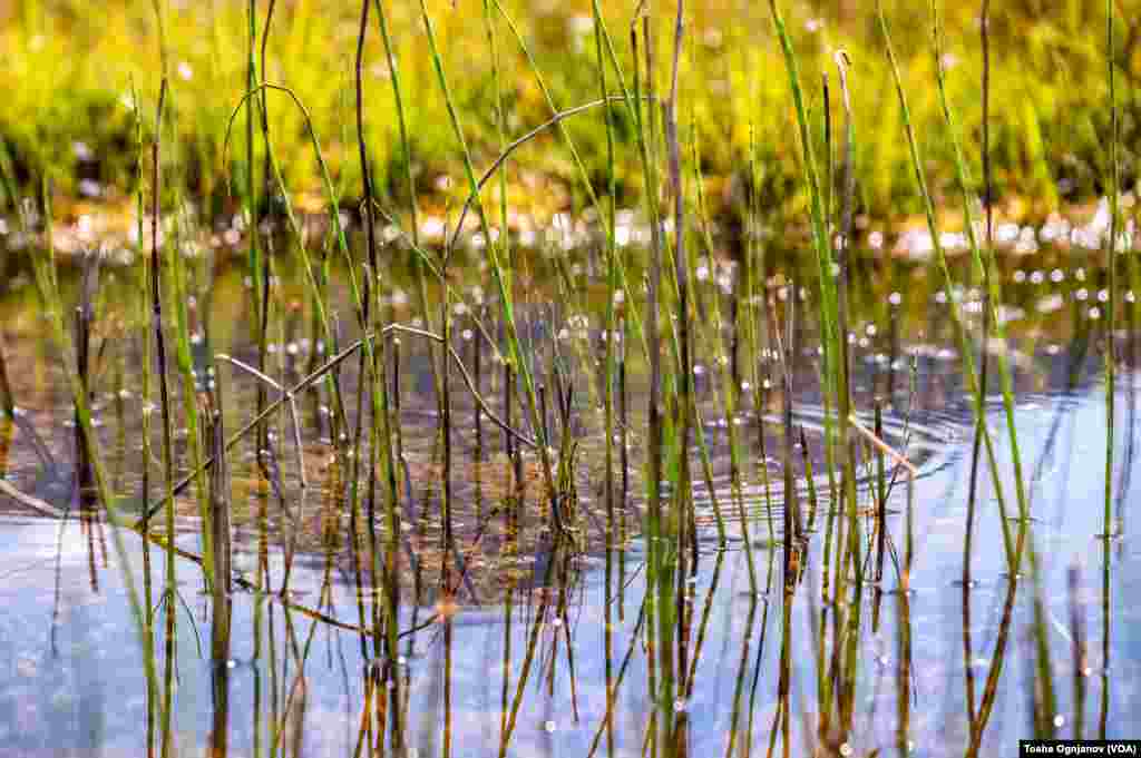 Солунска глава, 2.540 метри надморска висина. Врв од кој се гледа речиси целата држава, но и загадувањето надвиснато над скопската котлина