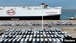 FILE: Kendaraan listrik China, BYD (EV) sebelum dimuat ke pengangkut kendaraan roll-on dan roll-off "BYD Explorer No.1" untuk diekspor ke Brazil, di pelabuhan Lianyungang, provinsi Jiangsu, China, 25 April 2024. (China Daily via REUTERS)