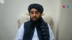 اظهارات ذبیح الله مجاهد در مورد بازداشت مطیع الله ویسا