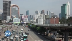 የኢትዮጵያ ሲቪል ሰርቪስ ተቋም እንደ አዲስ እንዲደራጅ ተጠየቀ