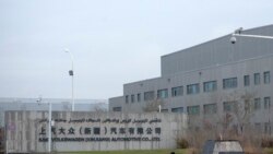 大眾汽車委託的審計稱未發現其新疆廠有強迫勞動跡象 人權組織稱當地無法從事可信審計