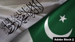 وزیر دفاع پاکستان مدعی شده است که طالبان برای دور کردن اعضای تحریک طالبان پاکستانی از امتداد خط دیورند، در نزدیکی مرز با آن کشور، ۳۶ میلیون دالر تقاضا کرده بودند.