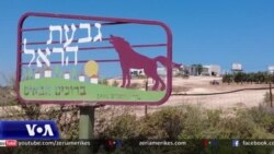 Zgjerohen vendbanimet izraelite në Bregun Perëndimor