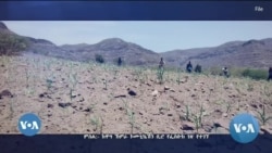 ተመድና ኢትዮጵያ ለተጎጂዎች የእርዳታ ጥሪ አቀረቡ