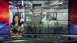 တိရိစ္ဆာန်ရဲ့ ဆဲလ် နဲ့ ဖန်တီးတဲ့အသား
