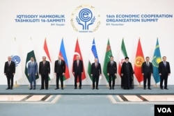 The heads of state gather at the Economic Cooperation Organization's member meeting in Tashkent, Uzbekistan, on Nov. 9, 2023. (Photo courtesy of the Uzbekistan President's Office)