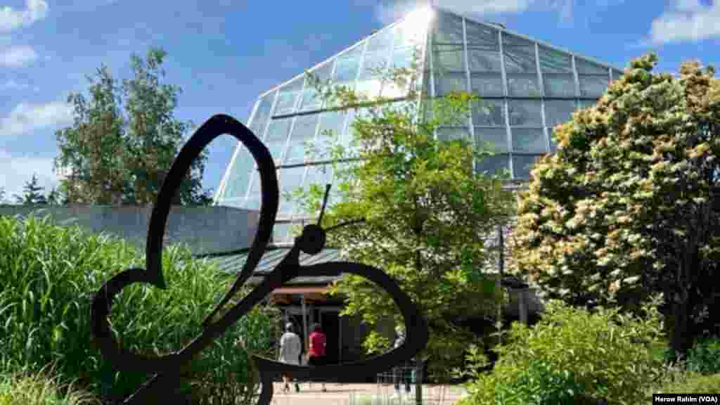 یەکێک لە گەورەترین باخچەکانی پەپوولە لە ئەمەریکای باکوور کە بە شووشە داخراوە لە شاری نایاگرای ئۆنتاریۆی کەنەدا. زیاتر لە 2 هەزار پەپوولەی ڕەنگاوڕەنگ لەم باخچەیەدا دەفڕن کە بووەتە جێگای سەرنجی ئەو گەشتیارانەی بۆ بینینی تاڤگە بەناوبانگەکانی نایاگرا ڕوو لە ناوچەکە دەکەن. ئەم باخچەیە بە تایبەتی شوێنێکی سەرنج ڕاکێشە بۆ ئەو گەشتیارانەی کە منداڵیان لەگەڵدایە. &nbsp;