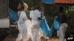 Wafanyikazi wakibeba mifuko yenye miili ya watu waliofukuliwa katika eneo la kaburi la halaiki katika msitu wa Shakahola huko Malindi, Aprili 25, 2023. Picha na Yasuyoshi CHIBA / AFP. 