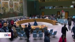 Consejo de Seguridad aprueba resolución de ayuda humanitaria a Gaza