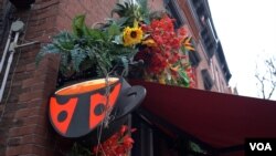 Kafe Bubamara (Foto: VOA)