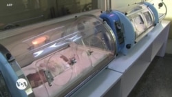 የማኅፀን ኪራይ እና ውዝግቡ 