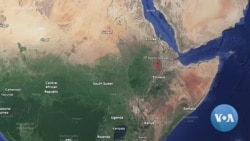 በፋኖ የታገቱ ሰዎች ደህንነት እንዳሳሰባቸው ቤተሰቦቻቸው አስታወቁ 