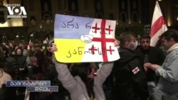 ექსპერტები: "არადემოკრატიული საქართველო ვერ იქნება დასავლური ოჯახის წევრი"