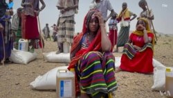 የርዳታ እህል ለተረጂ ያልደረሰው “በመጠነ ሰፊና የተቀናጀ ዘመቻ” እንደኾነ ዩኤስኤአይዲ አስታወቀ