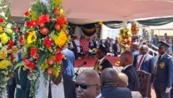 Udaba Esilwethulelwe NguNokuthaba Dlamini