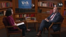 "რა საფრთხეს ხედავს ივანიშვილი ევროპულობაში" - ესტონელი პარლამენტარი