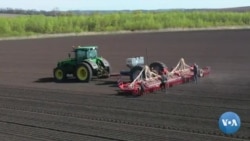 Urushga qaramay Ukrainada fermerlik qilayotgan golland 