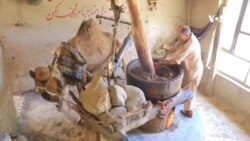 تولید روغن کنجد به شیوه سنتی 