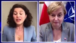 ანა ფოტიგა ე.წ "აგენტების კანონზე": ჩვენ მივყვებით ქართველი ხალხის სურვილს