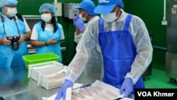 អ្នក​សារព័ត៌មាន​ទៅទស្សនា​កន្លែង​កែច្នៃត្រី​នៅ​សហគ្រាស​ Cambodia Fresh Farm នៅ​ស្រុក​ពញាឮ ខេត្តកណ្តាល​ ថ្ងៃទី​១៧​ ខែកញ្ញា​ ឆ្នាំ​ ២០២៣។ (ហ៊ុល រស្មី​/VOA)​