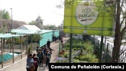 La protección de la biodiversidad es una de las iniciativas que se llevan a cabo en la comuna de Peñalolén, en Chile, para afrontar la crisis climática.