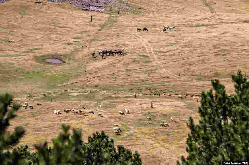 Солунска глава, 2.540 метри надморска висина. Врв од кој се гледа речиси целата држава, но и загадувањето надвиснато над скопската котлина