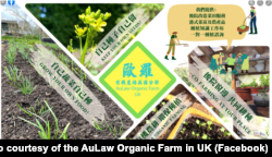 欧罗有机农场英国分部的宣传海报 (图片来源：欧罗有机农场英国分部脸书网站)