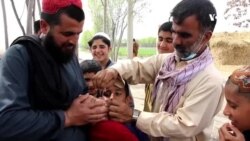 خوشبینی مقام‌های صحی بلخ از 'تطبیق موفقانهٔ' کمپاین واکسین پولیو در آن ولایت 