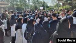 تجمع پرستاران در بابل - آرشیو