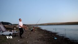 Li Dêrikê Pirsgirêka Kêmbûna Masîyan