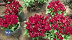 Sababu zilizopelekea mataifa ya Afrika kubadilisha mifumo ya kusafirisha bidhaa kuelekea Ulaya