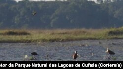 Parque Natural das Lagoas de Cufada, Guiné-Bissau