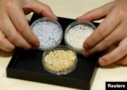 Takemitsu Imazu, President of Biomass Resin Fukushima, shows rice to Reutersin Namie, Fukushima Prefecture, Japan February 28, 2023. (REUTERS/Kim Kyung-Hoon)