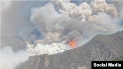 དཀར་མཛེས་ཁུལ་ཉག་ཆུ་རྫོང་དུ་ཤིང་ནགས་ལ་མེ་སྐྱོན་