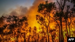 FILE - This handout photo taken Dec. 8, 2021, and obtained on Dec. 10 from the Western Australian Department of Fire and Emergency Services shows a bush fire near Margaret River. 