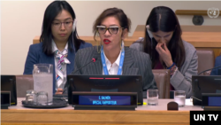 엘리자베스 살몬 유엔 북한인권특별보고관이 2023년 10월 23일 유엔총회 제3위원회에서 북한 인권 상황에 관해 발언했다. (자료사진)