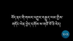 འཛམ་གླིང་གསར་འགོད་རང་དབང་ཉིན་མོ་སྲུང་བརྩི།