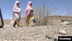 د بلوچستان پيرا ميډيکل سټاف ايسوسي ايشن وايي، په صوبه کې د څلرويشت زره شاوخوا پوليو کارکوونکي د پوليو مخنيوي په پروګرام کې کار کوي. چې په کې څلوېشت سلنه نارينه او شپېته سلنه مېرمنې دي. 