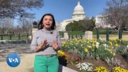 Saylov-2024: Bayden yo Tramp?