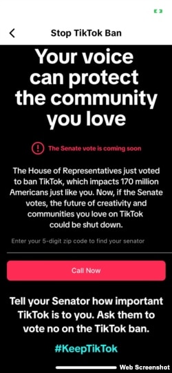 TikTok在其应用软件上鼓励用户给议员打电话。图片来源：TikTok应用截屏。