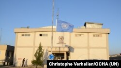 د یوناما دفتر