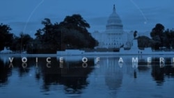 Mawakili wa zamani wa Donald Trump watoa ushahidi dhidi yake mahakamani.