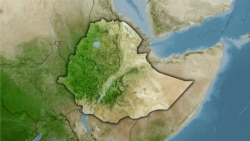 የሰባት ዓመት አዳጊ አግተው ገንዘብ የጠየቁ ሦስት ወጣቶች 11 ዓመት እስር ተፈረደባቸው