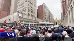 SHBA, vazhdojnë protestat kundër luftës në Gazë. Arrestohen qindra studentë 