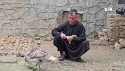 اعتیاد سلامت جسمی و روانی مرا سلب کرده است - معتاد
